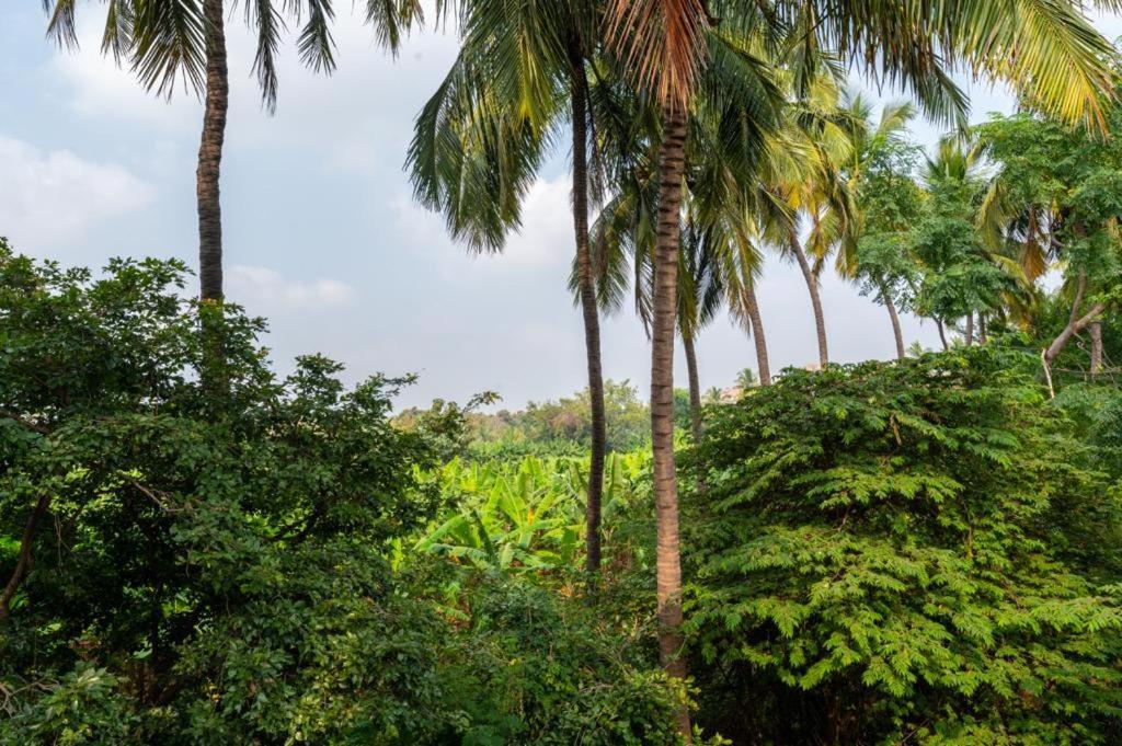 Saptami Hampi Homestay Buitenkant foto
