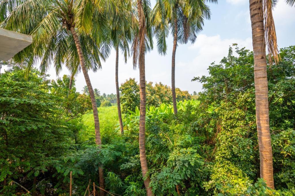 Saptami Hampi Homestay Buitenkant foto